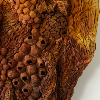 <a href=https://www.galeriegosserez.com/gosserez/artistes/l-c-lab.html> L&C Lab</a> - Biomater - Free Shape II
